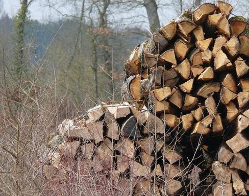 bois de chauffage